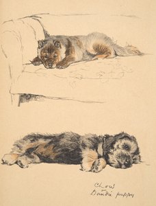 チョウとダンディの子犬、1930年、使用済みの「ジャスト・アマゾン・フレンズ」のスケッチブックからのイラスト、アルディン、セシル・チャールズ・ウィンザー（1870-1935）、後にエアとスポットティスウッド・リミテッドにより発行、1934年、チョークa
